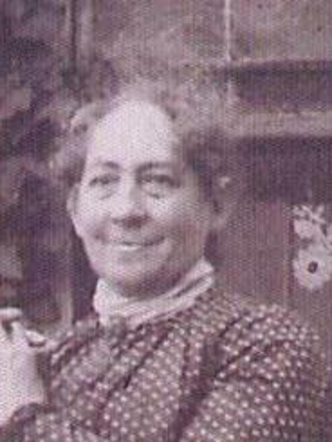 Elizabeth N. Marchant (1850 - 1924) Profile
